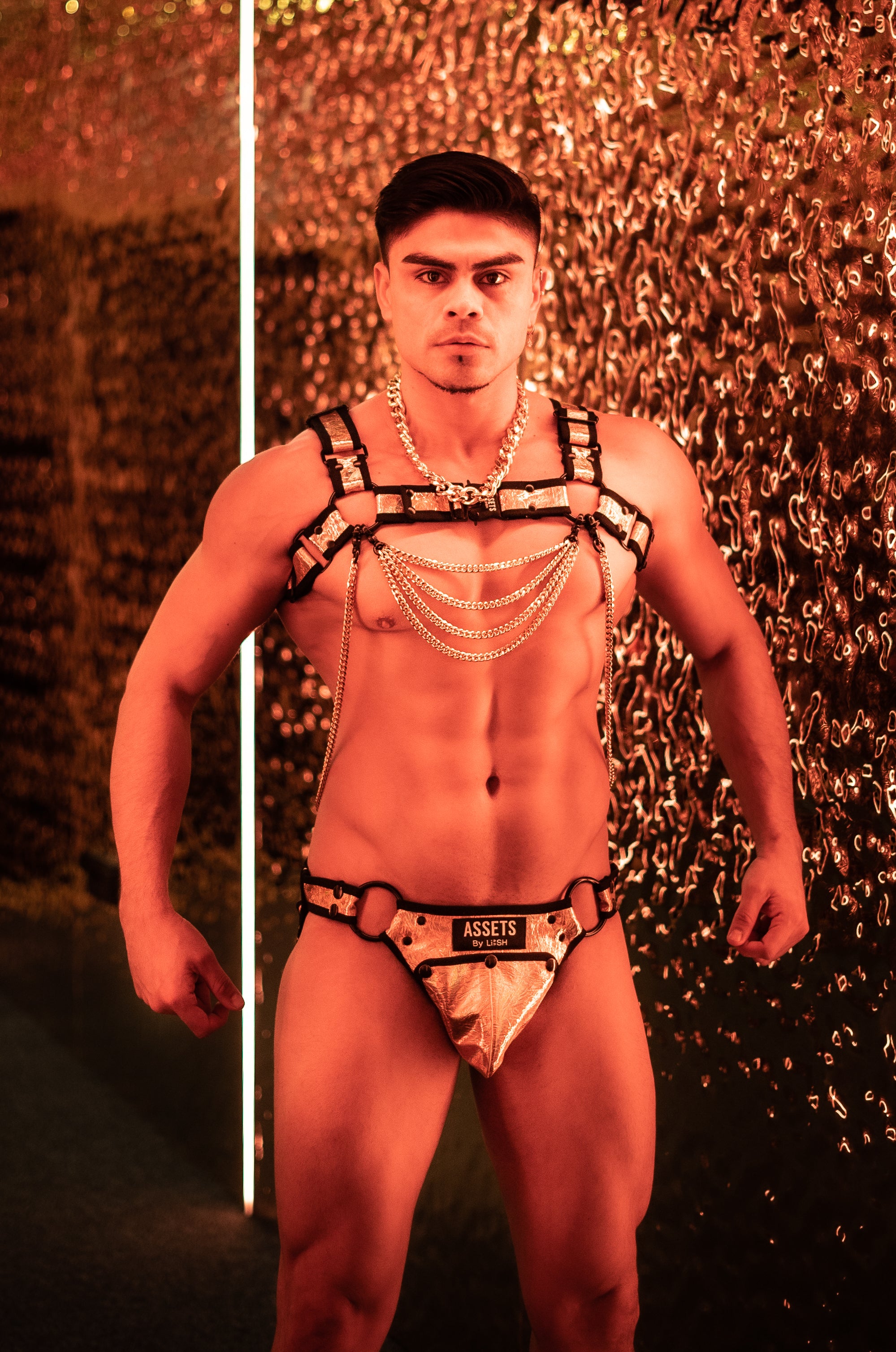 Allure Convertible Harness Set Silver