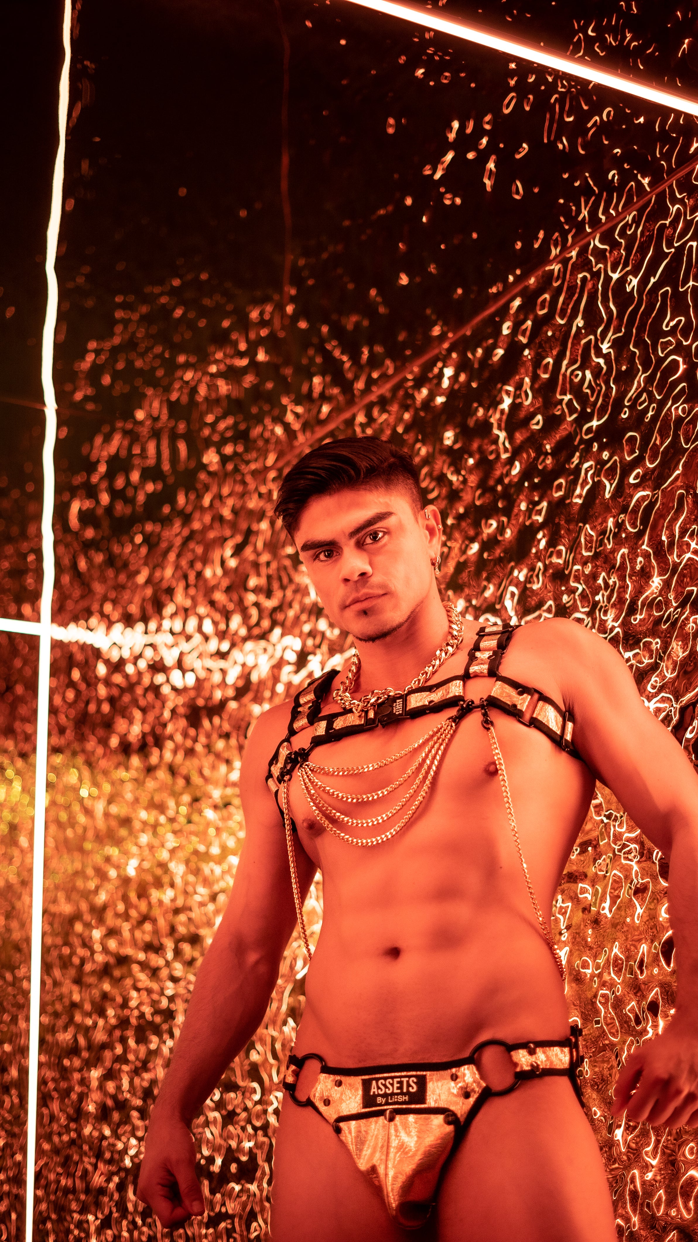 Allure Convertible Harness Set Silver