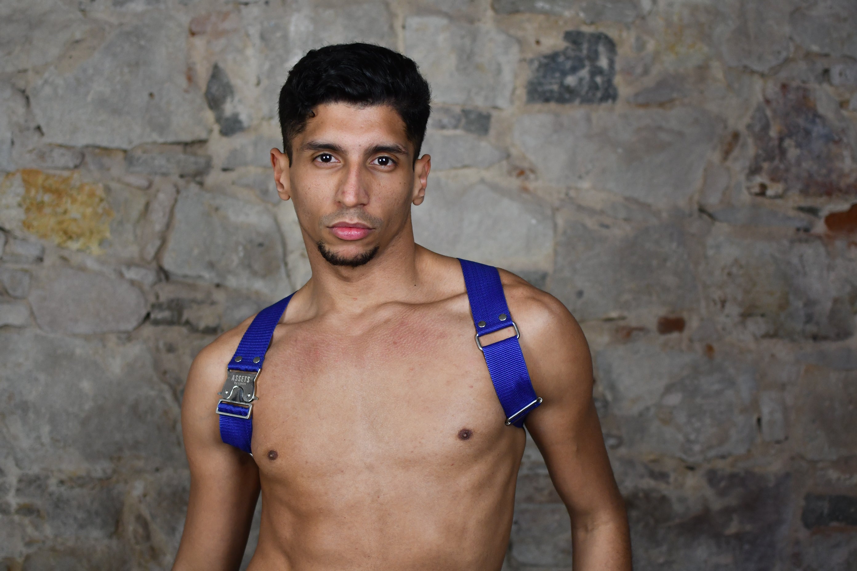 Harness Infinite Disco Silver